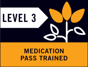 level 3