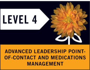 level 4