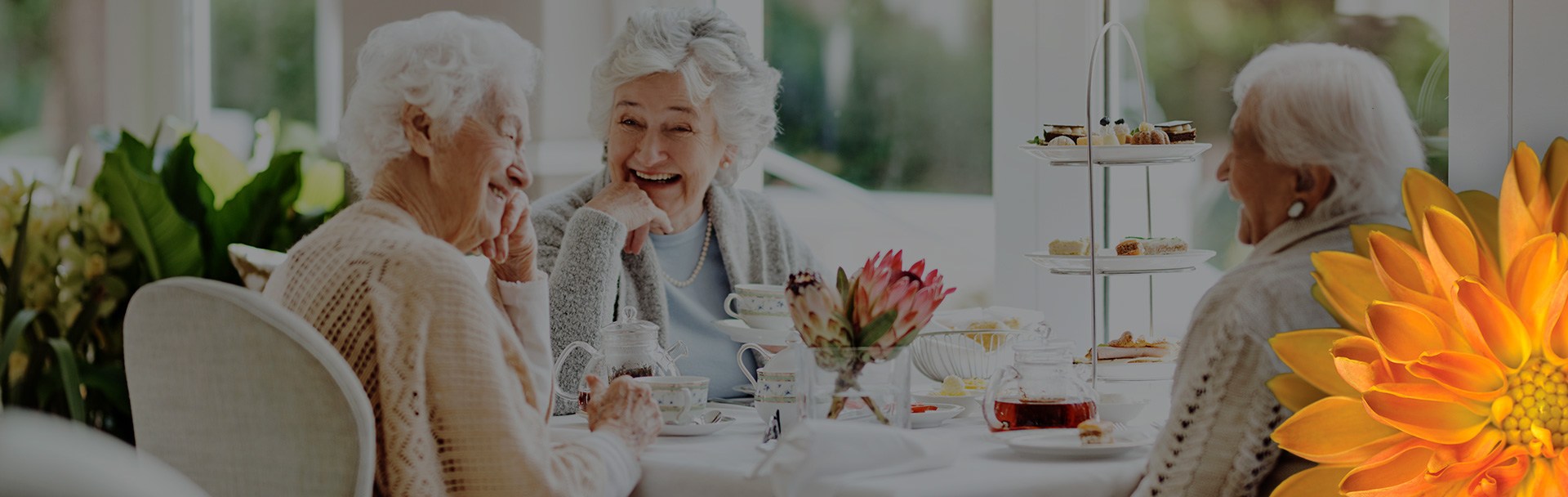 three elderly woman out for breakfast laughing