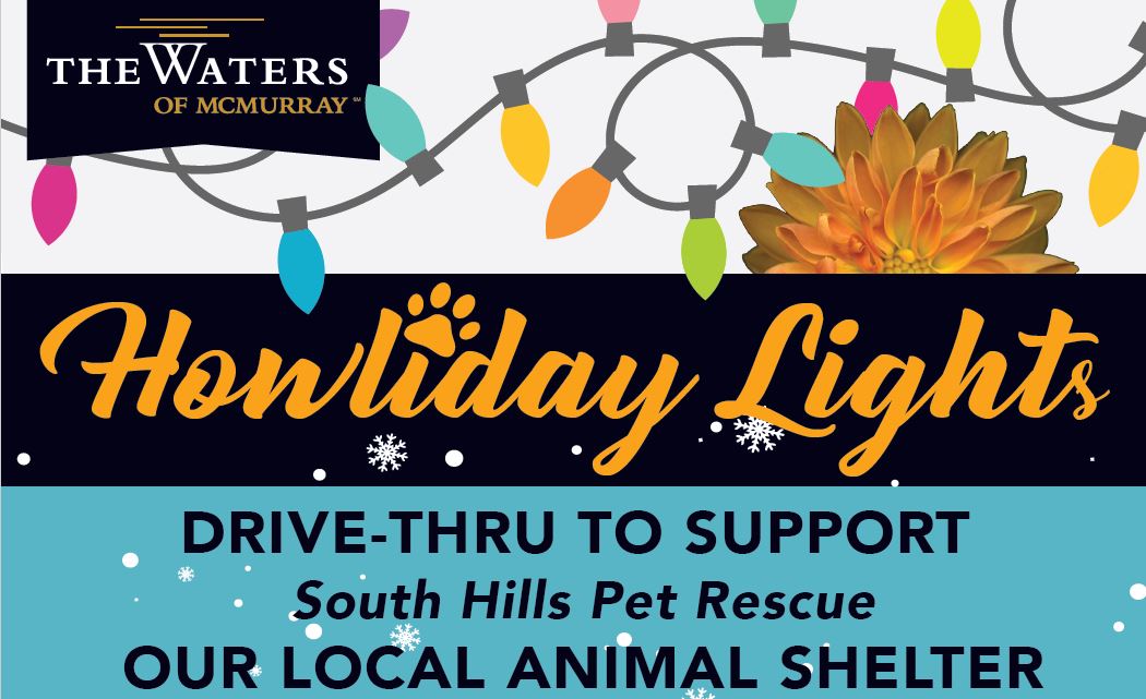 howliday lights drive-thru to support south hills pet rescue our local animal shelter