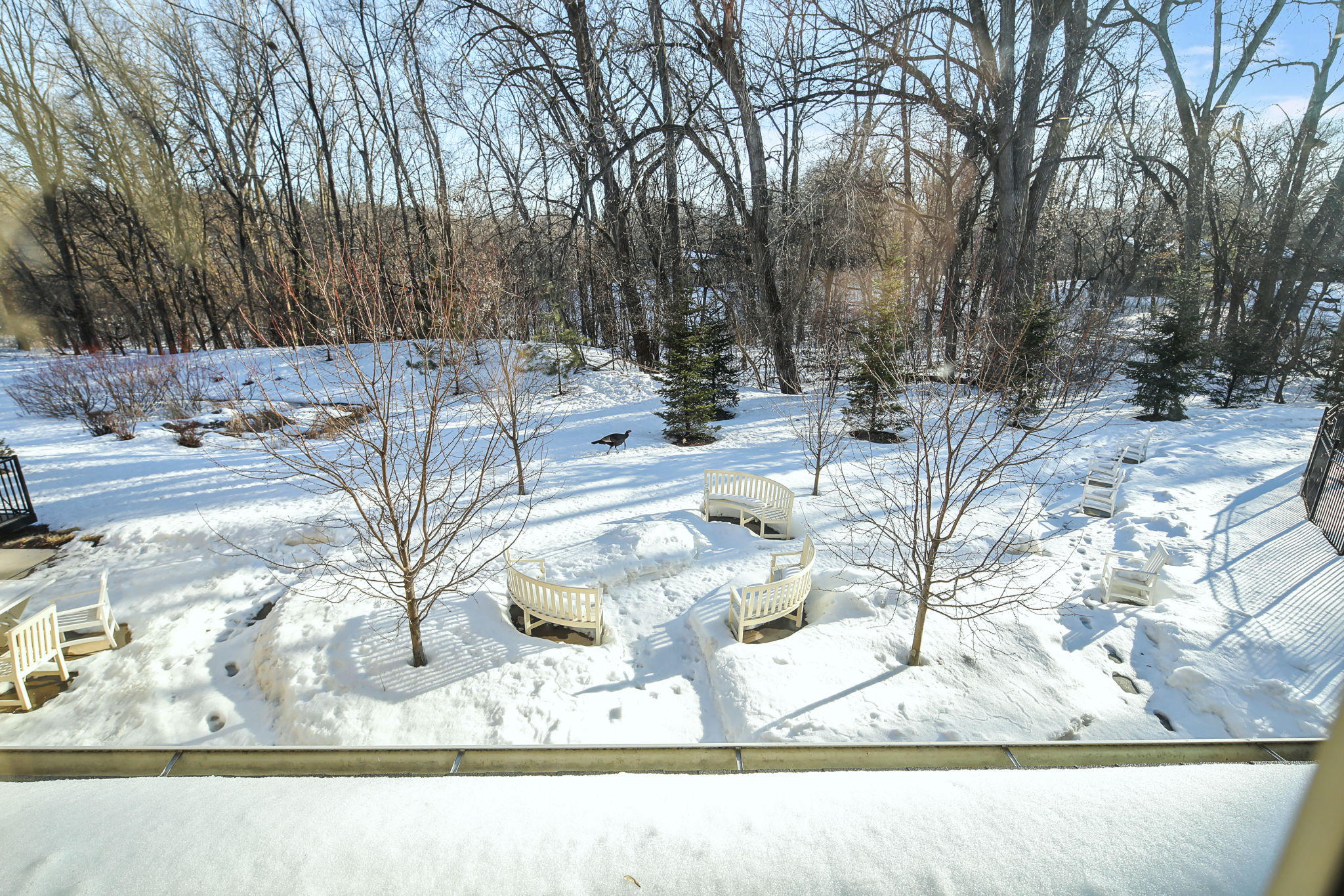 The outside view of a window peering out into an open snowy area, with white benches, and trees.