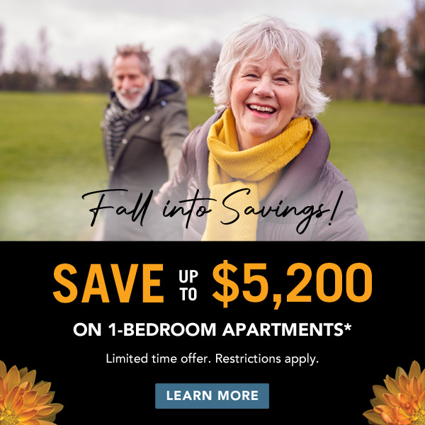 Fall Promotion
