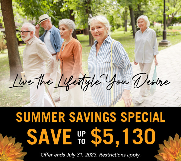 WBL Summer 2023 Promotion